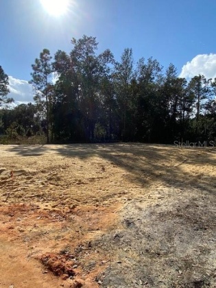 210 SPOONBILL DRIVE, POINCIANA, Florida 34759, ,Land,For Sale,SPOONBILL,G5050011