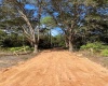 210 SPOONBILL DRIVE, POINCIANA, Florida 34759, ,Land,For Sale,SPOONBILL,G5050011