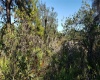 0 LIGHTHOUSE AVENUE, LAKE WALES, Florida 33859, ,Land,For Sale,LIGHTHOUSE,S5061058
