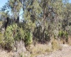 0 LIGHTHOUSE AVENUE, LAKE WALES, Florida 33859, ,Land,For Sale,LIGHTHOUSE,S5061058