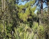 0 LIGHTHOUSE AVENUE, LAKE WALES, Florida 33859, ,Land,For Sale,LIGHTHOUSE,S5061058