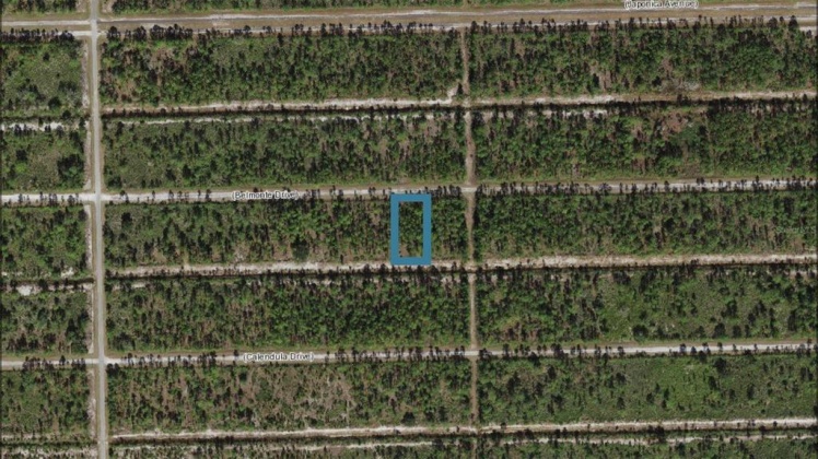 903 BELMONTE DRIVE, INDIAN LAKE ESTATES, Florida 33855, ,Land,For Sale,BELMONTE,A4520096