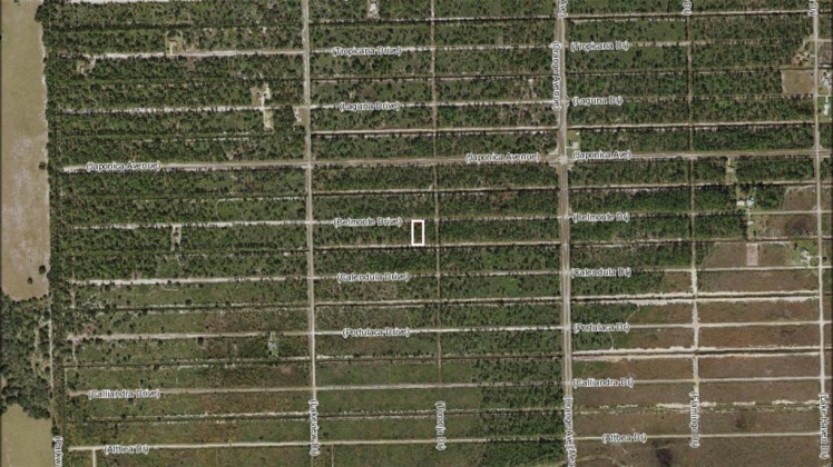 903 BELMONTE DRIVE, INDIAN LAKE ESTATES, Florida 33855, ,Land,For Sale,BELMONTE,A4520096