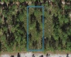 1016 LAGUNA DRIVE, INDIAN LAKE ESTATES, Florida 33855, ,Land,For Sale,LAGUNA,A4520097