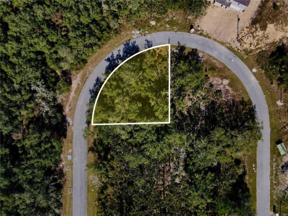 1632 PICKEREL COURT, POINCIANA, Florida 34759, ,Land,For Sale,PICKEREL,L4927360