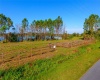 1380 OLD BREWSTER ROAD, FORT MEADE, Florida 33841, ,Land,For Sale,OLD BREWSTER,T3349362