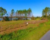 1380 OLD BREWSTER ROAD, FORT MEADE, Florida 33841, ,Land,For Sale,OLD BREWSTER,T3349362