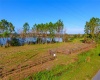 1380 OLD BREWSTER ROAD, FORT MEADE, Florida 33841, ,Land,For Sale,OLD BREWSTER,T3349362