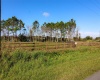 1380 OLD BREWSTER ROAD, FORT MEADE, Florida 33841, ,Land,For Sale,OLD BREWSTER,T3349362