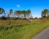 1380 OLD BREWSTER ROAD, FORT MEADE, Florida 33841, ,Land,For Sale,OLD BREWSTER,T3349362