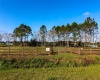 1380 OLD BREWSTER ROAD, FORT MEADE, Florida 33841, ,Land,For Sale,OLD BREWSTER,T3349362