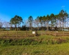 1380 OLD BREWSTER ROAD, FORT MEADE, Florida 33841, ,Land,For Sale,OLD BREWSTER,T3349362