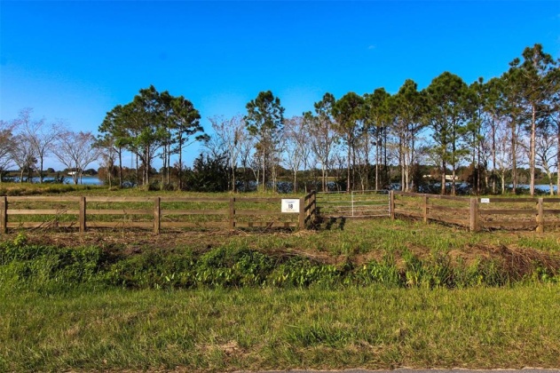 1380 OLD BREWSTER ROAD, FORT MEADE, Florida 33841, ,Land,For Sale,OLD BREWSTER,T3349362