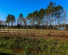 1380 OLD BREWSTER ROAD, FORT MEADE, Florida 33841, ,Land,For Sale,OLD BREWSTER,T3349362