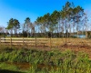 1380 OLD BREWSTER ROAD, FORT MEADE, Florida 33841, ,Land,For Sale,OLD BREWSTER,T3349362