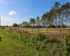 1380 OLD BREWSTER ROAD, FORT MEADE, Florida 33841, ,Land,For Sale,OLD BREWSTER,T3349362