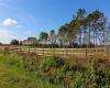 1380 OLD BREWSTER ROAD, FORT MEADE, Florida 33841, ,Land,For Sale,OLD BREWSTER,T3349362