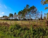 1380 OLD BREWSTER ROAD, FORT MEADE, Florida 33841, ,Land,For Sale,OLD BREWSTER,T3349362
