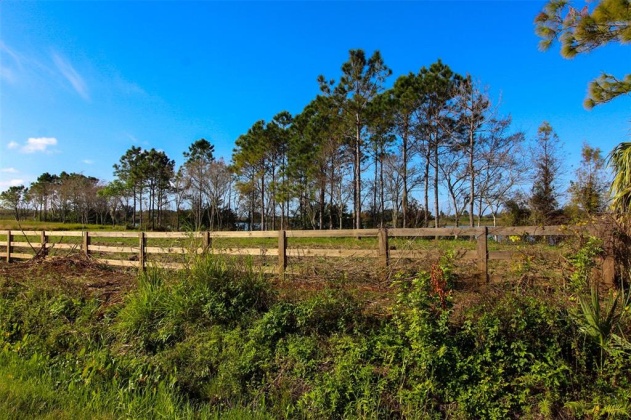 1380 OLD BREWSTER ROAD, FORT MEADE, Florida 33841, ,Land,For Sale,OLD BREWSTER,T3349362