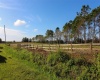 1380 OLD BREWSTER ROAD, FORT MEADE, Florida 33841, ,Land,For Sale,OLD BREWSTER,T3349362