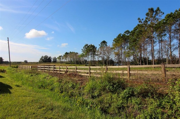 1380 OLD BREWSTER ROAD, FORT MEADE, Florida 33841, ,Land,For Sale,OLD BREWSTER,T3349362