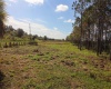 1380 OLD BREWSTER ROAD, FORT MEADE, Florida 33841, ,Land,For Sale,OLD BREWSTER,T3349362
