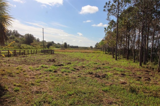 1380 OLD BREWSTER ROAD, FORT MEADE, Florida 33841, ,Land,For Sale,OLD BREWSTER,T3349362