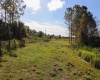 1380 OLD BREWSTER ROAD, FORT MEADE, Florida 33841, ,Land,For Sale,OLD BREWSTER,T3349362