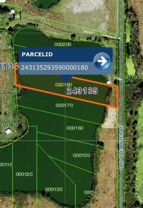 1380 OLD BREWSTER ROAD, FORT MEADE, Florida 33841, ,Land,For Sale,OLD BREWSTER,T3349362