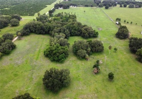 BASSETT ROAD, LAKE WALES, Florida 33898, ,Land,For Sale,BASSETT,P4916789