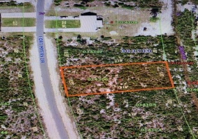 0 FORT MYERS DRIVE, LAKE WALES, Florida 33898, ,Land,For Sale,FORT MYERS,OK220920