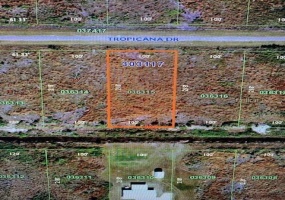 219 TROPICANA DRIVE, INDIAN LAKE ESTATES, Florida 33855, ,Land,For Sale,TROPICANA,OK220938