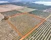 C SULLIVAN ROAD, FROSTPROOF, Florida 33843, ,Land,For Sale,C SULLIVAN,P4918925