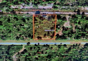 306 TROPICANA DRIVE, INDIAN LAKE ESTATES, Florida 33855, ,Land,For Sale,TROPICANA,OK220944