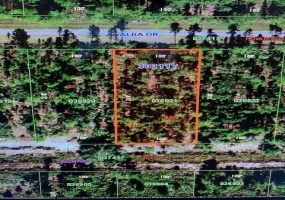 307 ALBA DRIVE, INDIAN LAKE ESTATES, Florida 33855, ,Land,For Sale,ALBA,OK220945