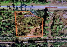 301 ALBA DRIVE, INDIAN LAKE ESTATES, Florida 33855, ,Land,For Sale,ALBA,OK220946