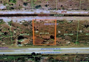 318 JAPONICA DRIVE, INDIAN LAKE ESTATES, Florida 33855, ,Land,For Sale,JAPONICA,OK220947