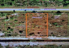 317 LAGUNA DRIVE, INDIAN LAKE ESTATES, Florida 33855, ,Land,For Sale,LAGUNA,OK220949