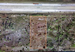 309 JAPONICA AVENUE, INDIAN LAKE ESTATES, Florida 33855, ,Land,For Sale,JAPONICA,T3349832