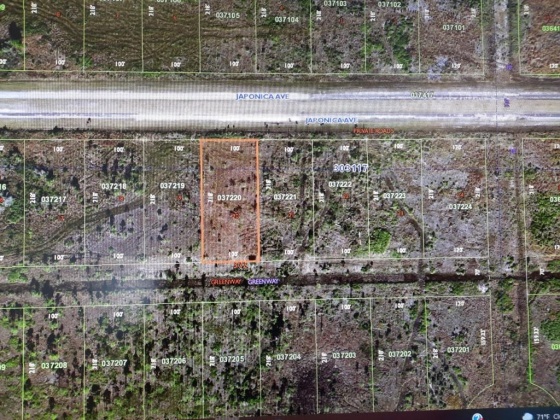 309 JAPONICA AVENUE, INDIAN LAKE ESTATES, Florida 33855, ,Land,For Sale,JAPONICA,T3349832