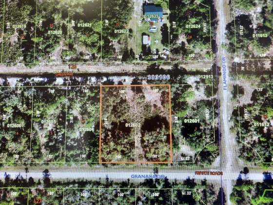 704 GRANADA DRIVE, INDIAN LAKE ESTATES, Florida 33855, ,Land,For Sale,GRANADA,T3349882