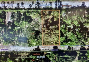 607 VALENCIA DRIVE, INDIAN LAKE ESTATES, Florida 33855, ,Land,For Sale,VALENCIA,T3350049