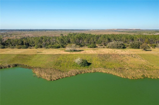 10199 HWY 555, FORT MEADE, Florida 33841, ,Land,For Sale,HWY 555,P4918946