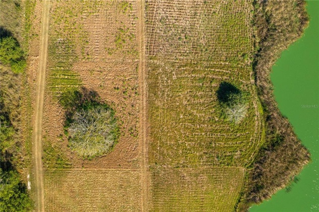 10199 HWY 555, FORT MEADE, Florida 33841, ,Land,For Sale,HWY 555,P4918946