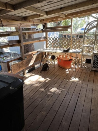 2770 OLD DIXIE HIGHWAY, AUBURNDALE, Florida 33823, 2 Bedrooms Bedrooms, ,1 BathroomBathrooms,Residential,For Sale,OLD DIXIE,P4918966