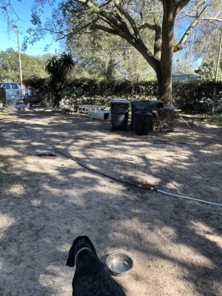 2770 OLD DIXIE HIGHWAY, AUBURNDALE, Florida 33823, 2 Bedrooms Bedrooms, ,1 BathroomBathrooms,Residential,For Sale,OLD DIXIE,P4918966