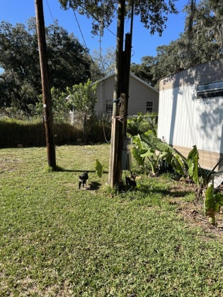 2770 OLD DIXIE HIGHWAY, AUBURNDALE, Florida 33823, 2 Bedrooms Bedrooms, ,1 BathroomBathrooms,Residential,For Sale,OLD DIXIE,P4918966