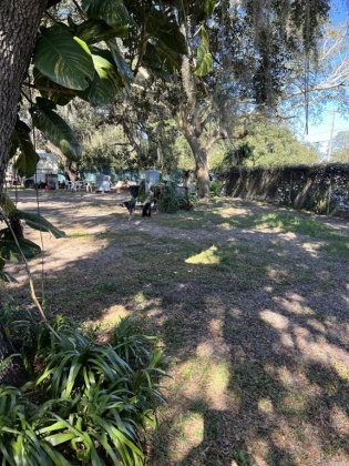 2770 OLD DIXIE HIGHWAY, AUBURNDALE, Florida 33823, 2 Bedrooms Bedrooms, ,1 BathroomBathrooms,Residential,For Sale,OLD DIXIE,P4918966