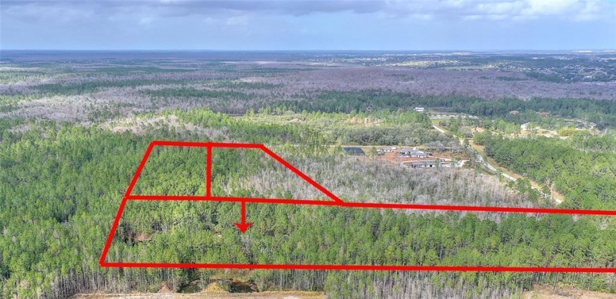 1203 HIDDEN PALMS DRIVE, DAVENPORT, Florida 33897, 4 Bedrooms Bedrooms, ,4 BathroomsBathrooms,Residential,For Sale,HIDDEN PALMS,S5060864