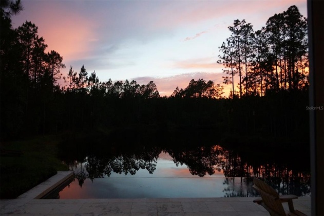 1203 HIDDEN PALMS DRIVE, DAVENPORT, Florida 33897, 4 Bedrooms Bedrooms, ,4 BathroomsBathrooms,Residential,For Sale,HIDDEN PALMS,S5060864